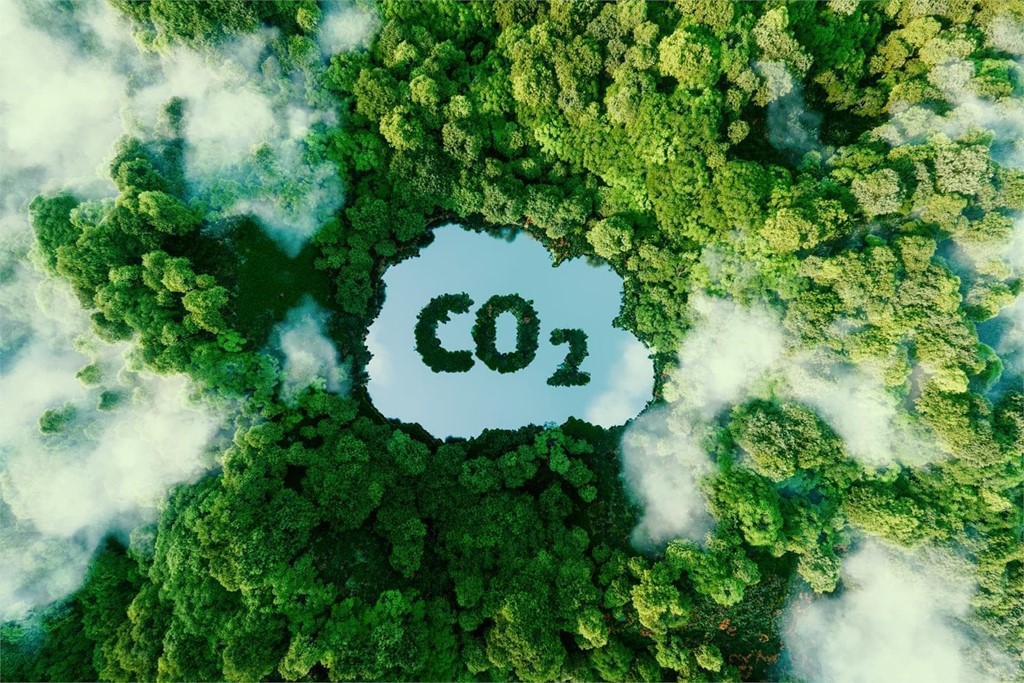 ¿En qué consiste un proyecto de absorción de CO2?